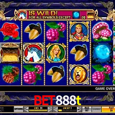 bet888t Brasília - Casino Guide